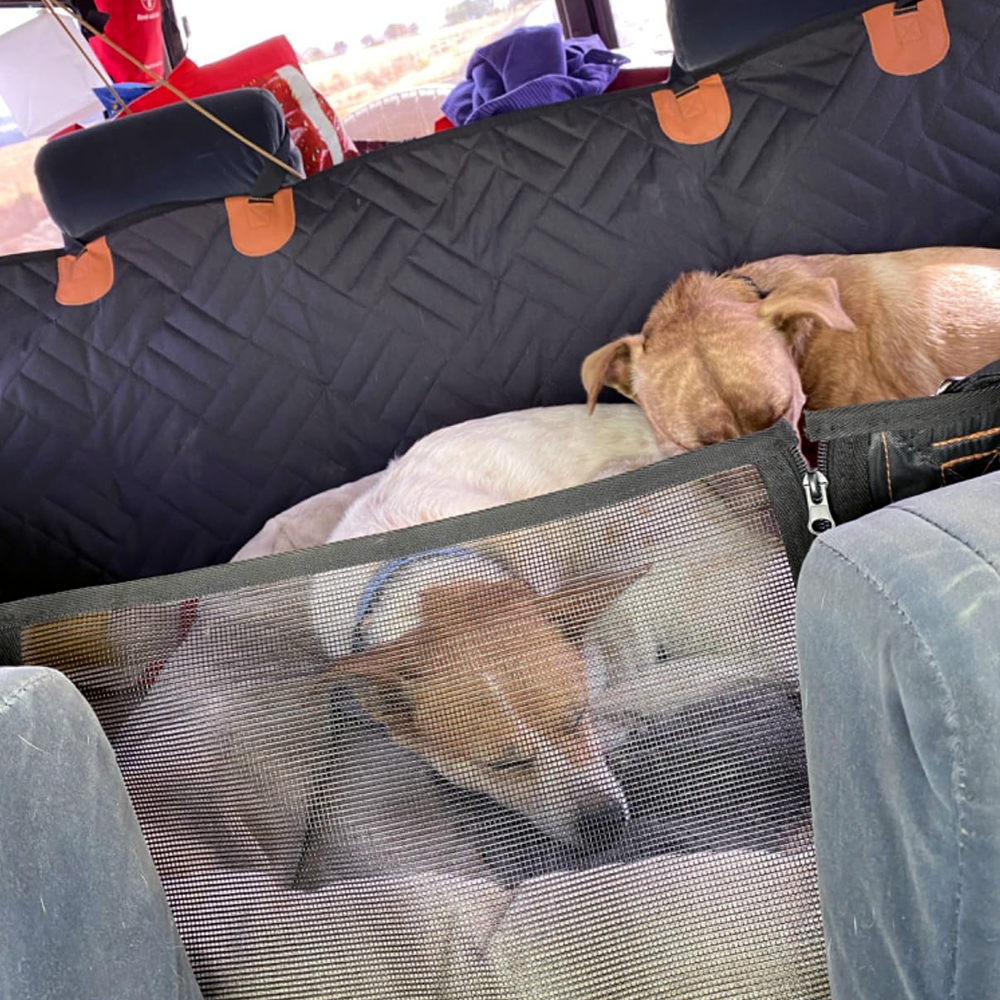 Barksmith™ AdventureDeck Back Seat Protector