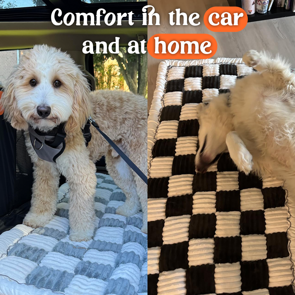 Barksmith™ CommuterLounge