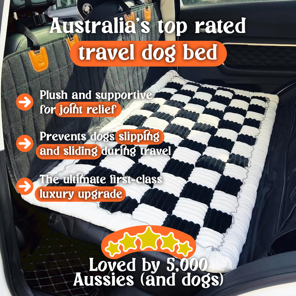 Barksmith™ CommuterLounge