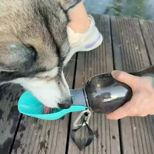 Barksmith™ RoverFlow Pet Water Bottle