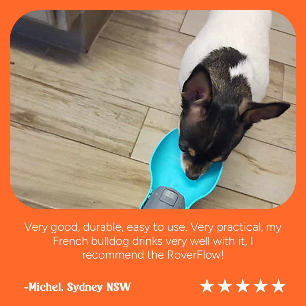 Barksmith™ RoverFlow Pet Water Bottle