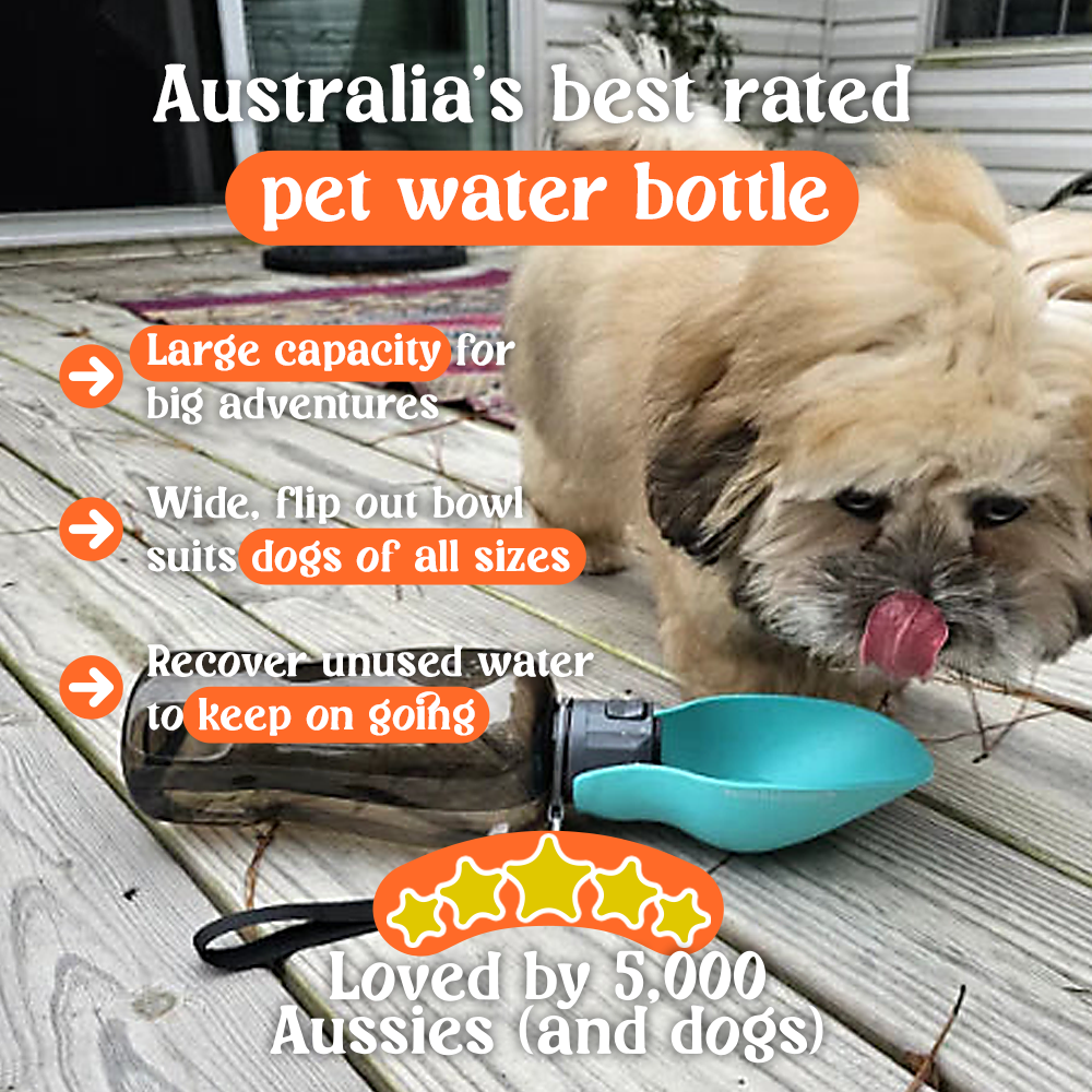 Barksmith™ RoverFlow Pet Water Bottle